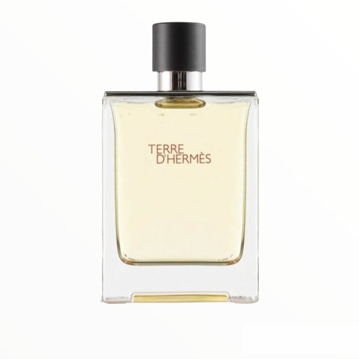 Terre De Hermes Eau De Toilette 100Ml - Image 1