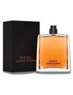 COSTUME NATIONAL SOUL EDP 100ML - Image 2