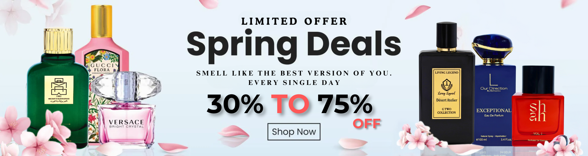 SHOP NOW (16)